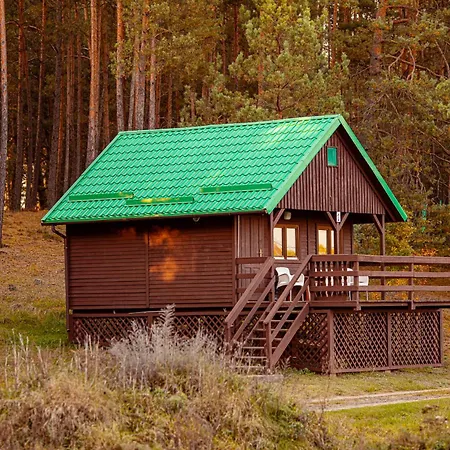 Wyzwanie Bory Tucholskie *