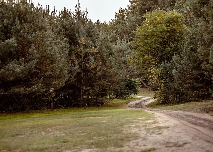 Wyzwanie Bory Tucholskie *