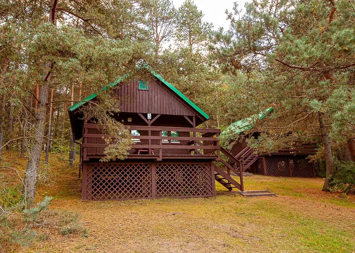 بيت للعطل Wyzwanie Bory Tucholskie *