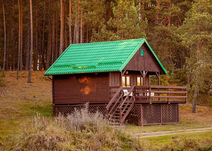 Wyzwanie Bory Tucholskie *